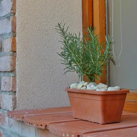 Apartmán Csuecsoek Vendeghaz