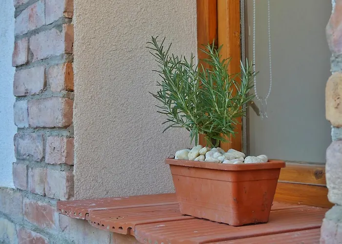 Appartement Csuecsoek Vendeghaz